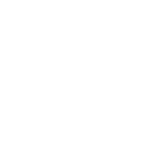 PropNex logo
