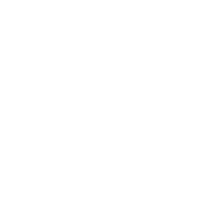 Seeds & Feed, a member of AZ Group, logo