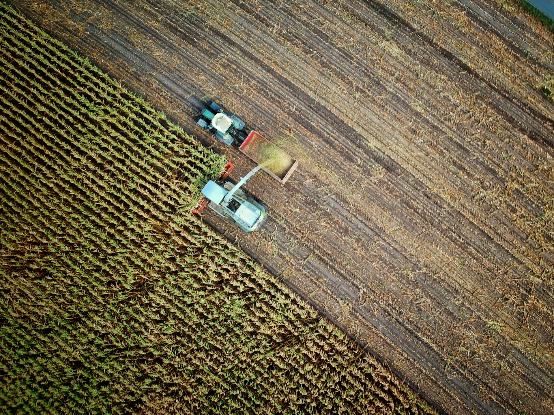 Farmer Financing AZ Group